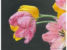 рис.1 pink buds tulips  Кликните для просмотра к этому слайду